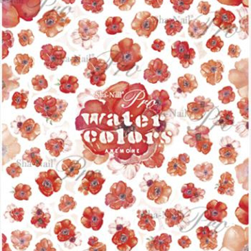  P69-WCAM-001Watercolors Anemone (scarlet)